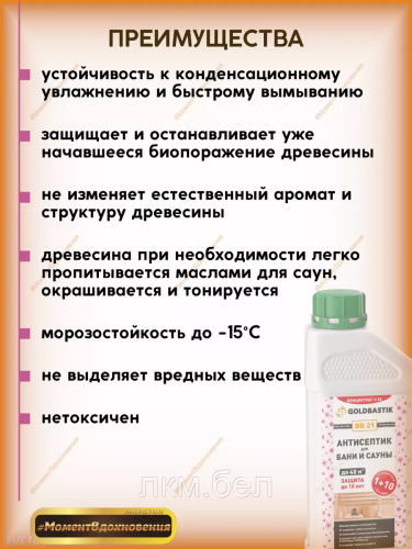 Антисептик для бани и сауны GOLDBASTIK BB 21 (концентрат 1к10) 1л фото 2